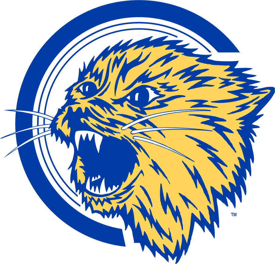 Montana State Bobcats 1965-1995 Alternate Logo iron on transfers for T-shirts